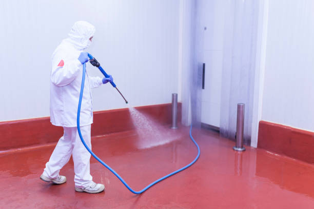 Best Dumpster Area Cleaning  in Mountain Lake Park, MD
