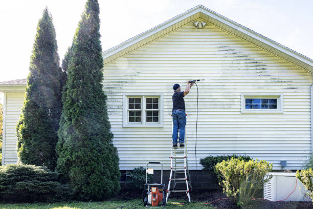 Spring Cleaning in Mountain Lake Park, MD