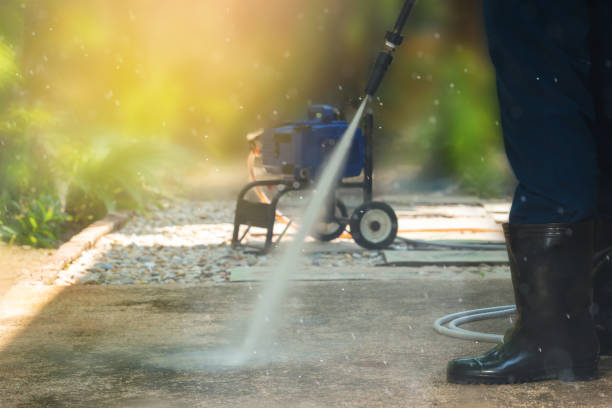 Best Animal Enclosure Cleaning  in Mountain Lake Park, MD